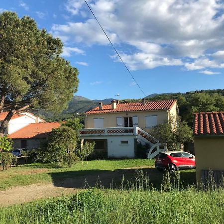 Grande maison catalane entre mer et montagne Reynès Extérieur photo