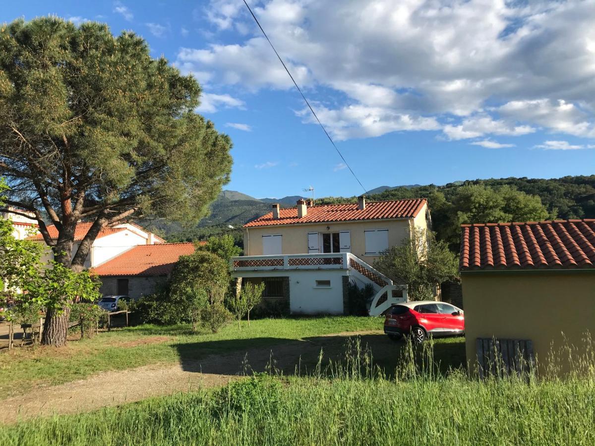 Grande maison catalane entre mer et montagne Reynès Extérieur photo