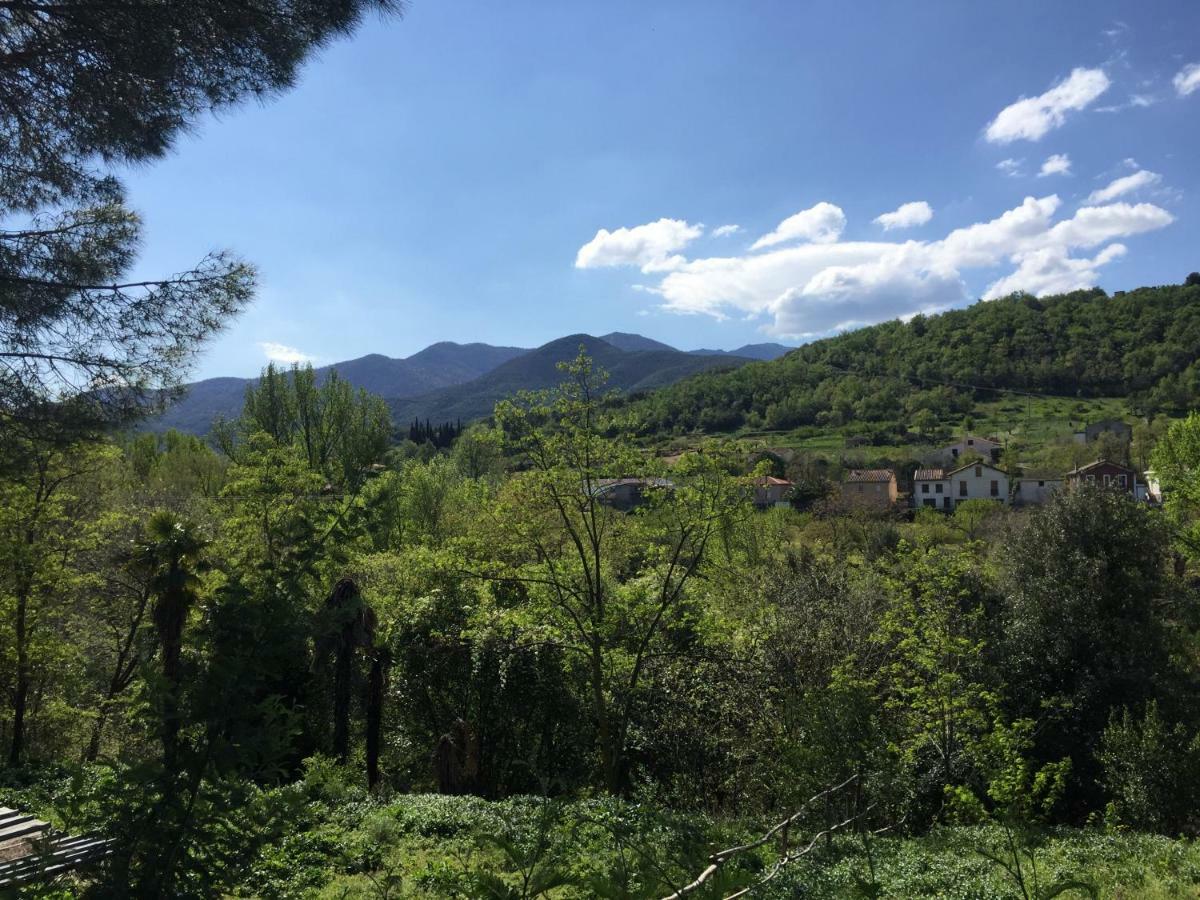 Grande maison catalane entre mer et montagne Reynès Extérieur photo